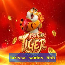 larissa santos bbb 23 pelada